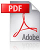 pdf_icon